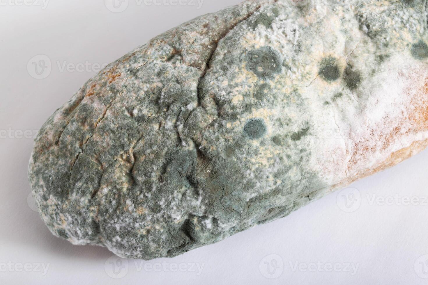Green moldy bread on a white background, isolate. Loaf with mold, macro photo