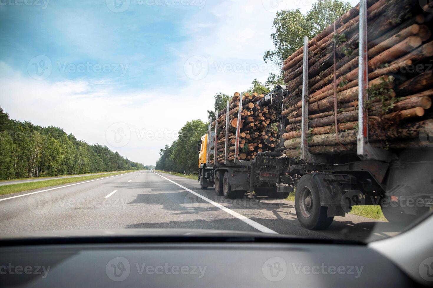 Transportation of forest logs on a truck trailer in summer on an asphalt road. Timber transportation, forest industry. Copy space for text photo