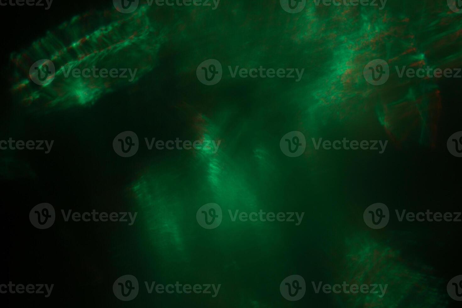 Blurred lens flare. Defocused colorful lights. Shiny glowing spots, abstract background and texture photo