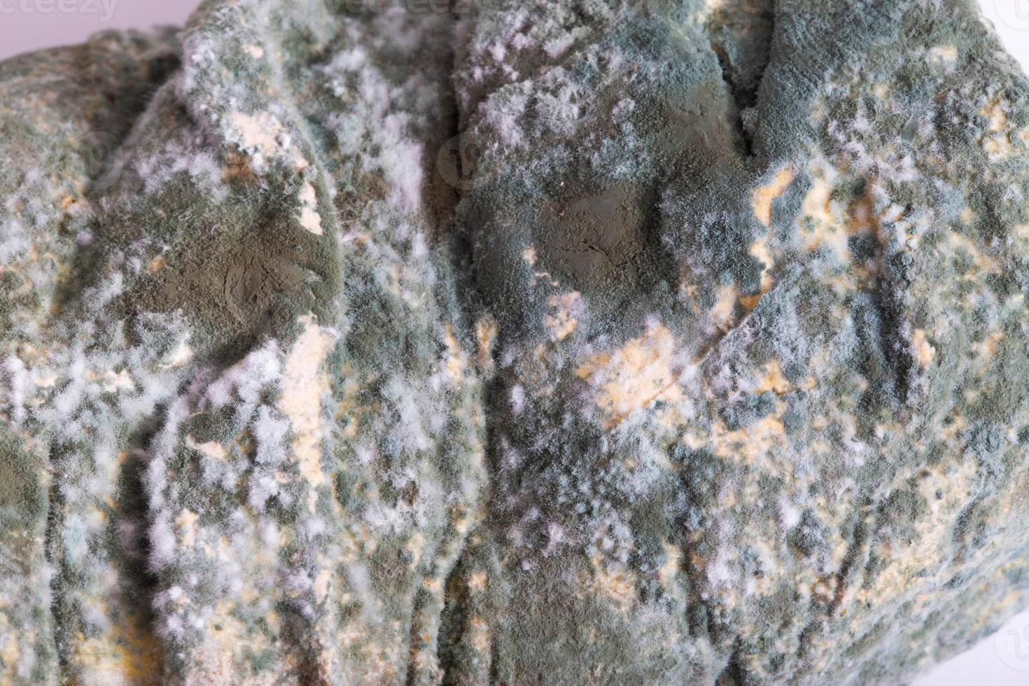 Green moldy bread on a white background, isolate. Loaf with mold, macro photo