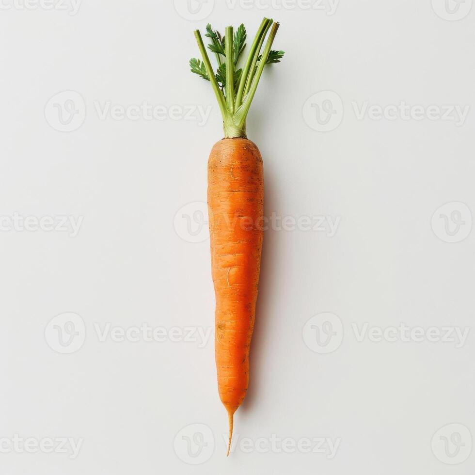 Carrot with green leafy tops on a white background. photo