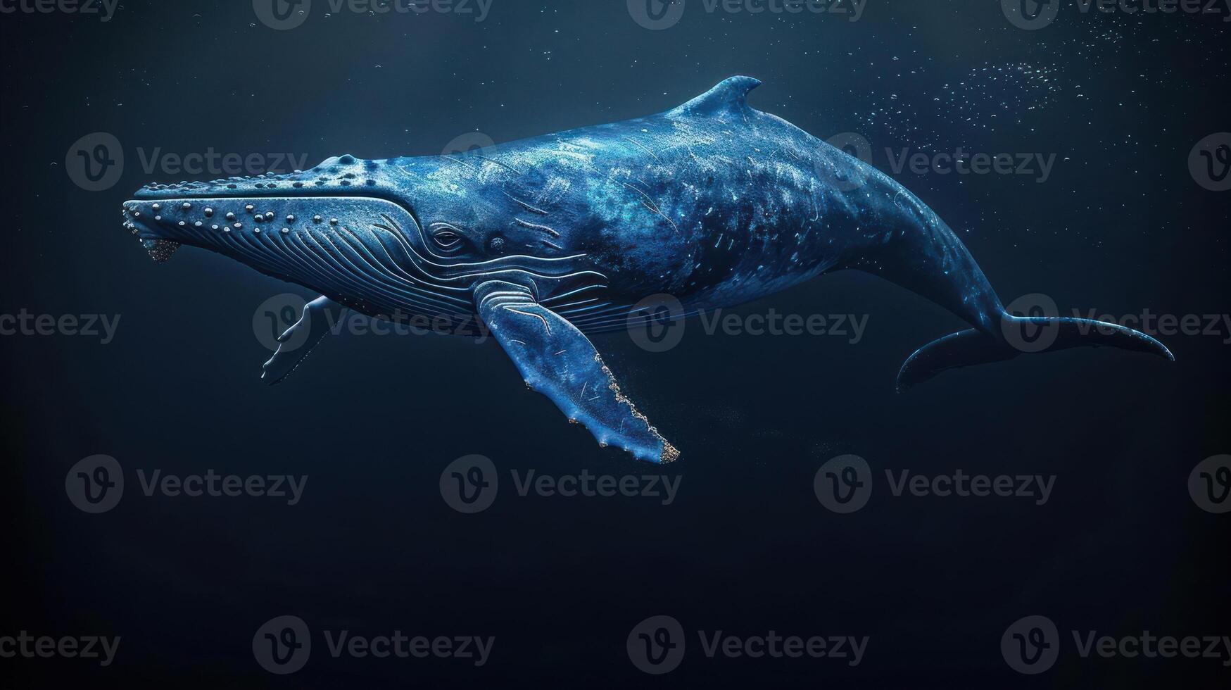 A whale swimming under the ocean surface with a beautiful view of the whale tail and spout. photo