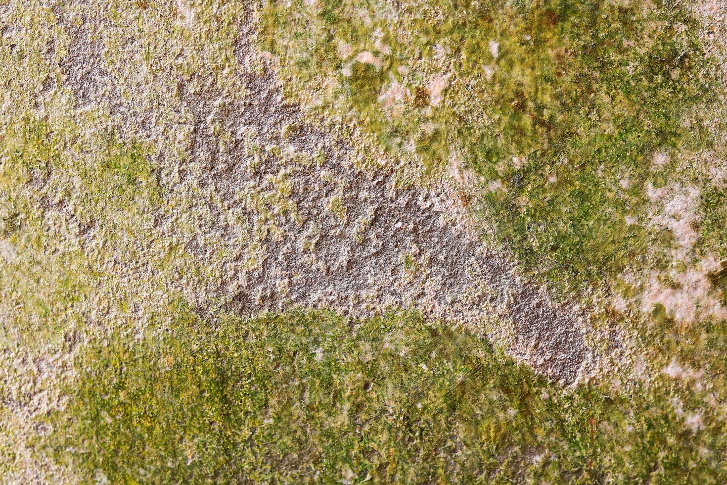 Green moss on the wall texture. Abstract background and texture for design. photo
