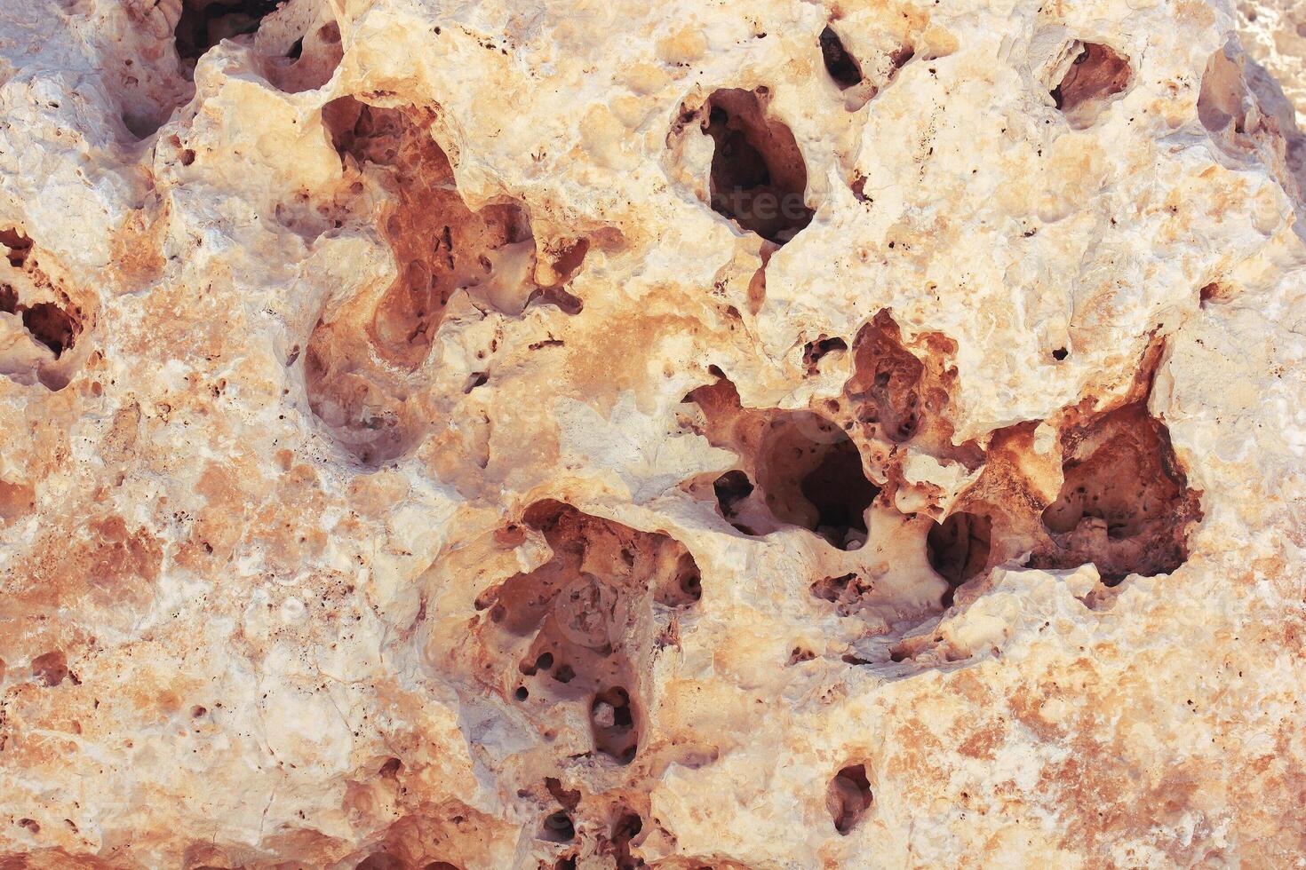 Close up view of coral. Coral formation background. photo