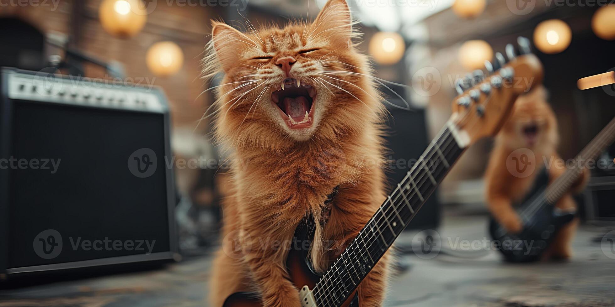 Cat guitar online