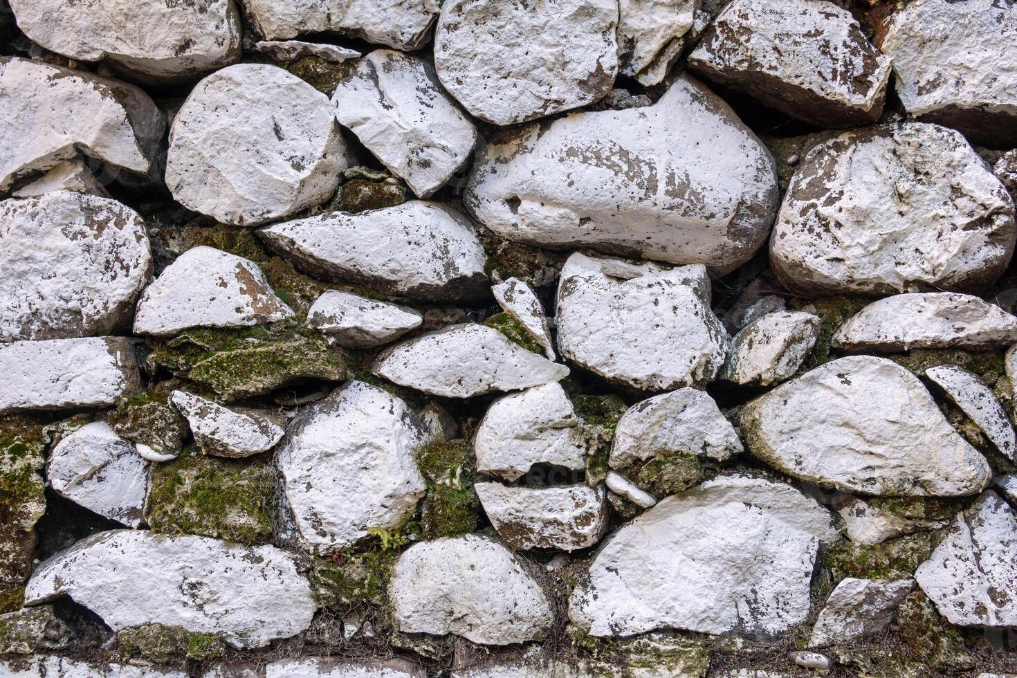 A close-up view of a stone wall composed of irregularly shaped, white stones with patches of moss and dirt. photo