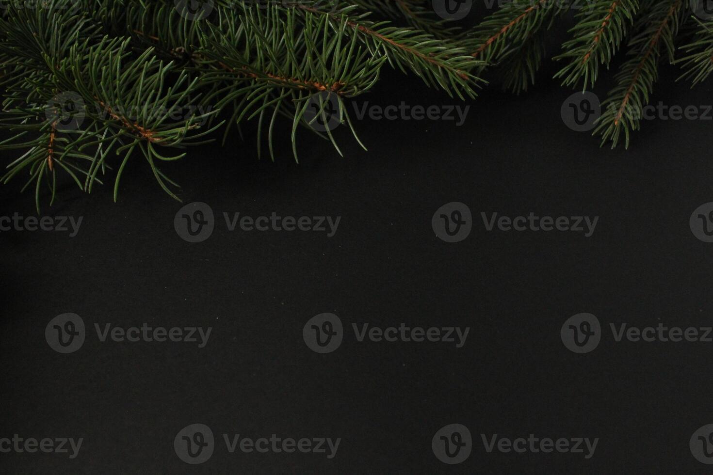 New Year Christmas Background Spruce Branch on Black Red Yellow Background with Space for Copyspace Text photo