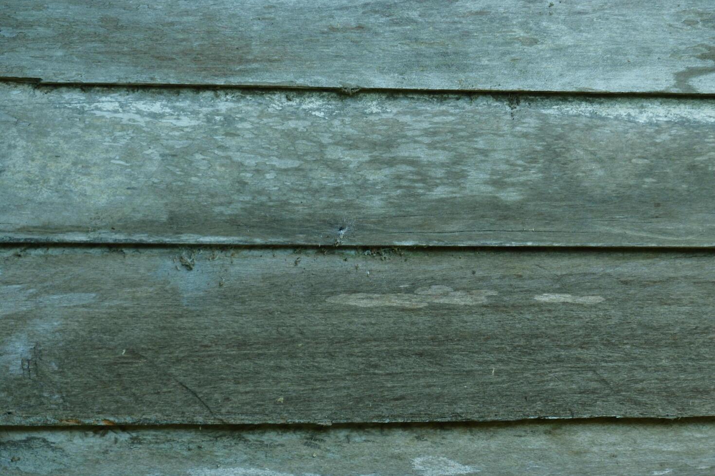 Abstract gray grungy wooden wall material background texture photo