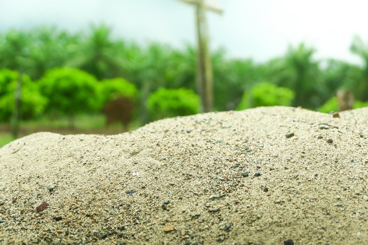 A pile of sand on a natural background is perfect for a summer-themed mockup photo