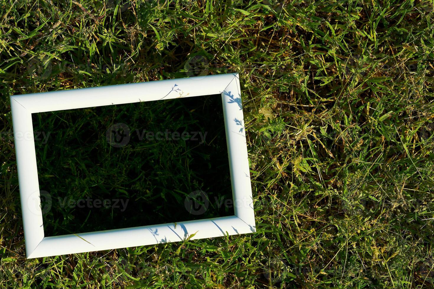 White frame with black space for text on freshly greenery grass photo