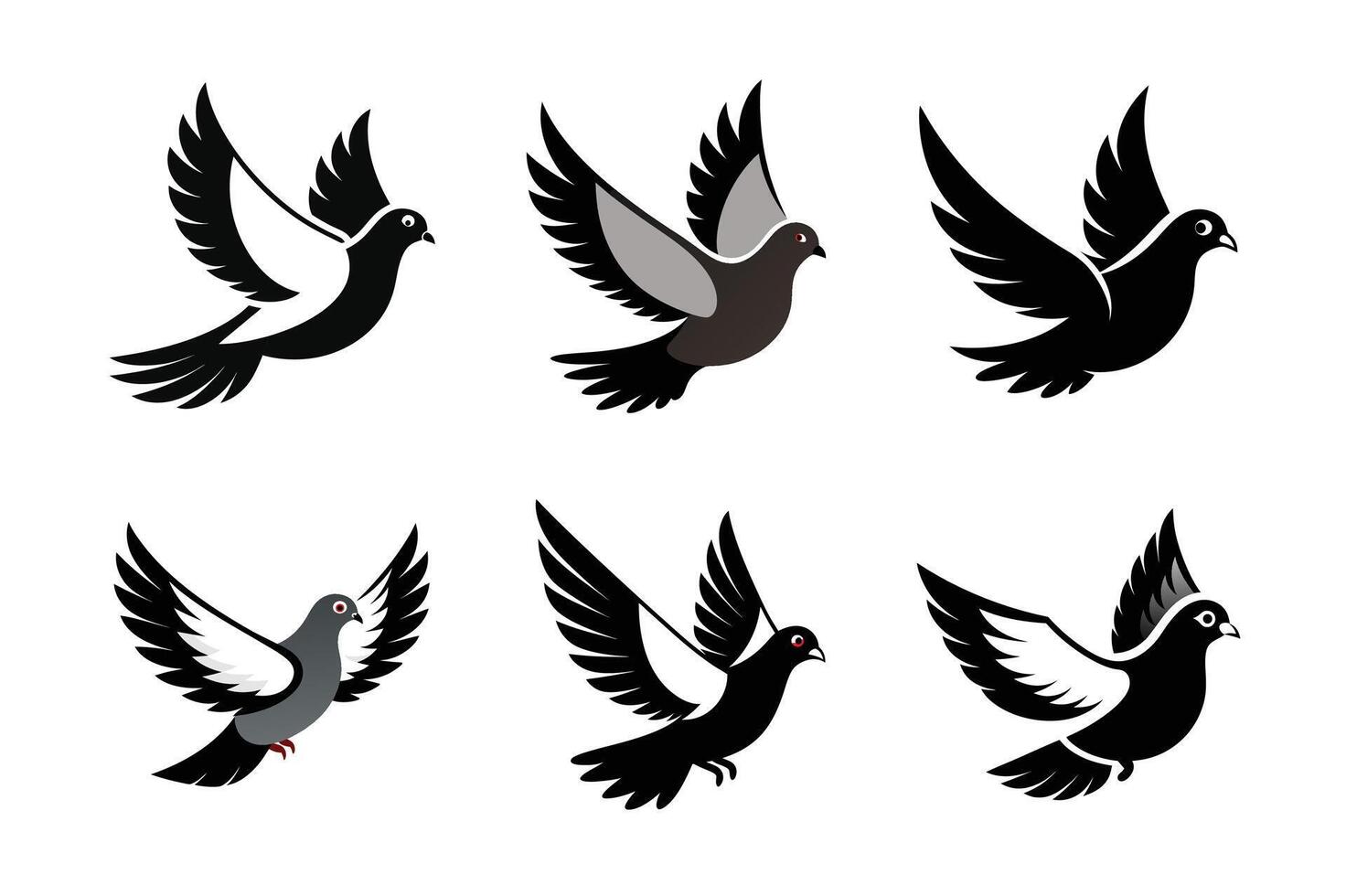 The Pigeon Full Length Fly vector