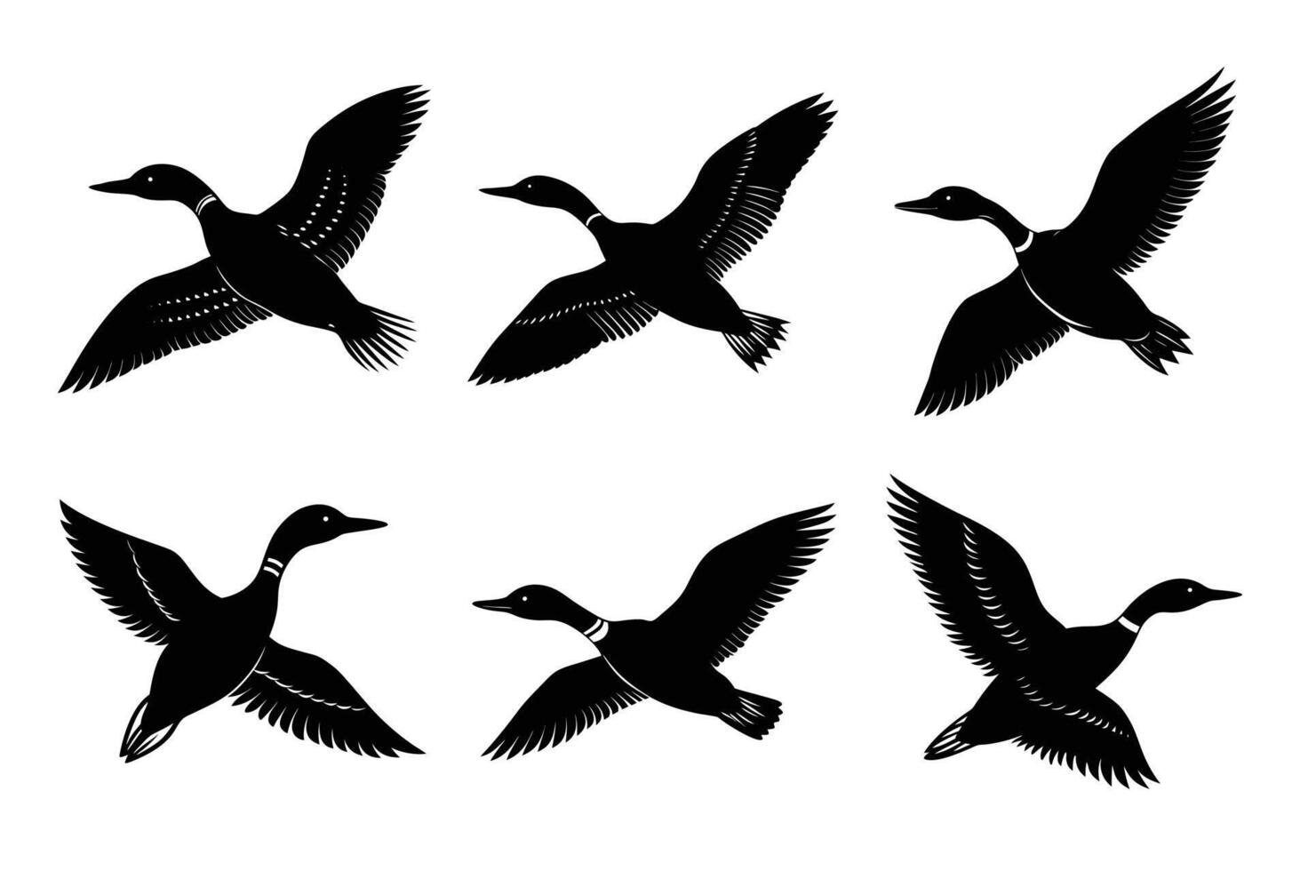 A flying loon bird vector