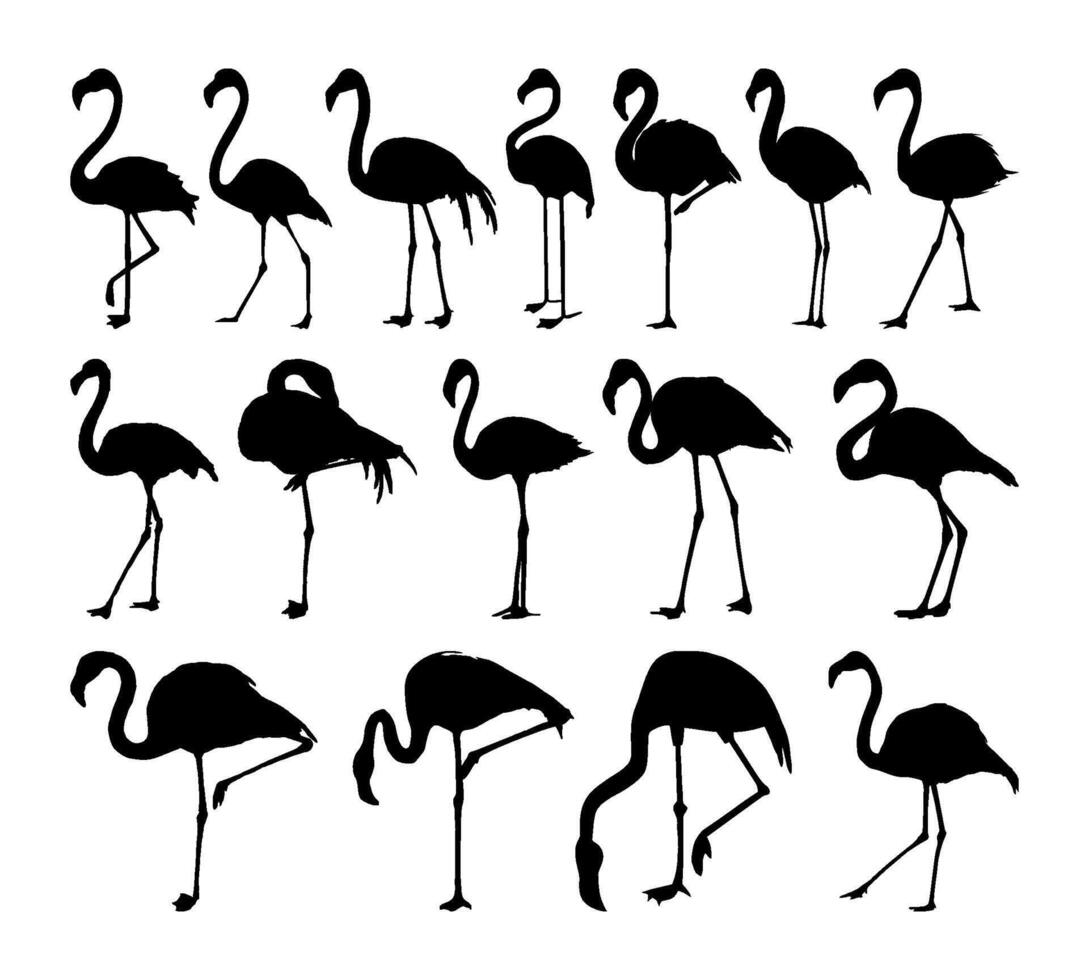flamingo silhouette collection vector