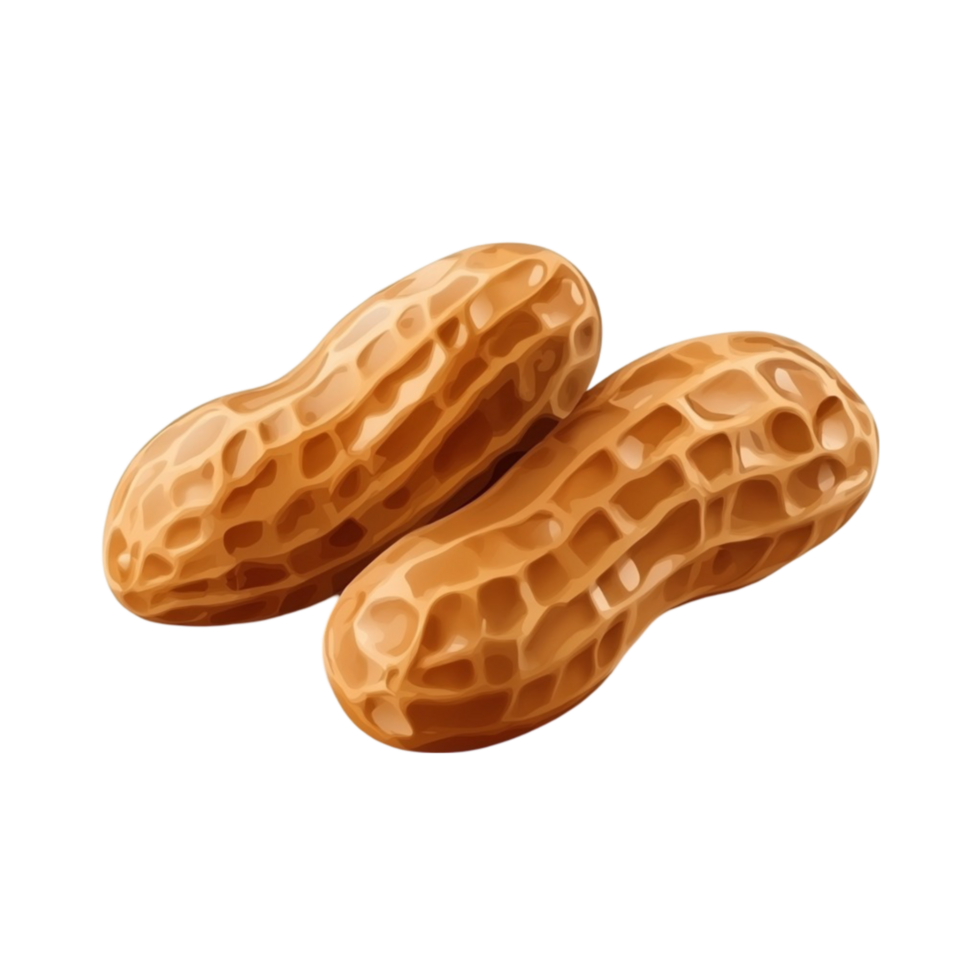 Two Peanuts on Transparent Background. png