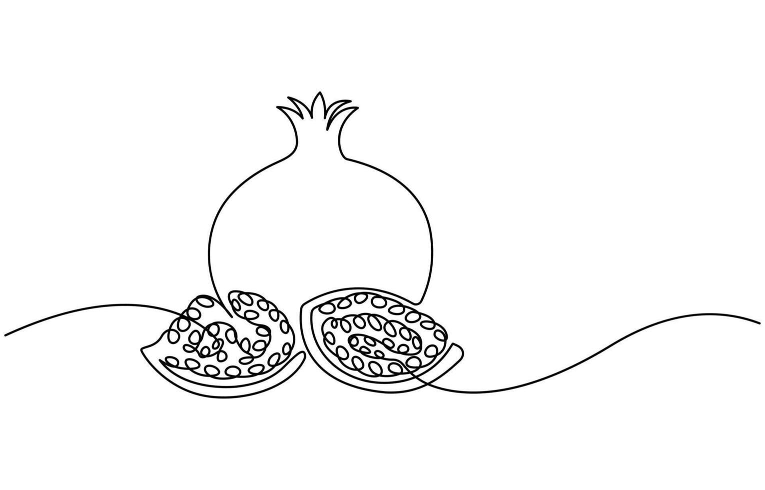 Pomegranate in Continuous single one line drawing vector