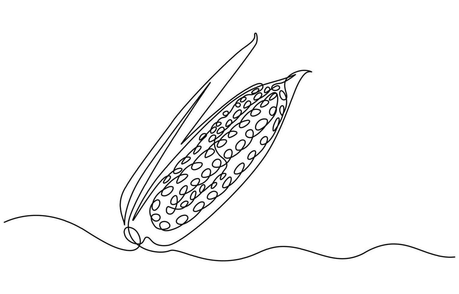 Maize ear in continuous line art drawing style vector