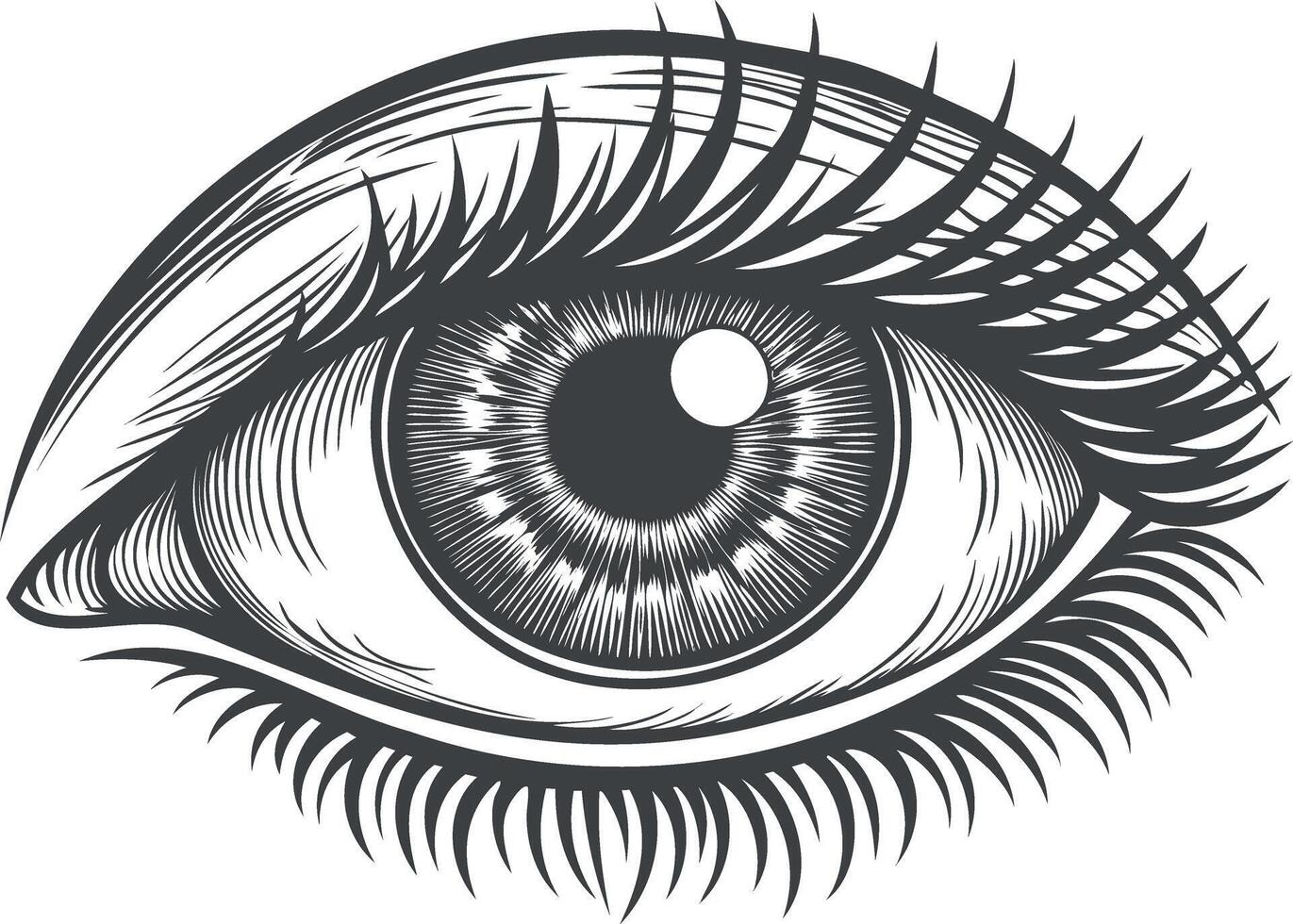 Eye iris. eyeball symbol. Old sketch view drawing. Human face vintage art vector