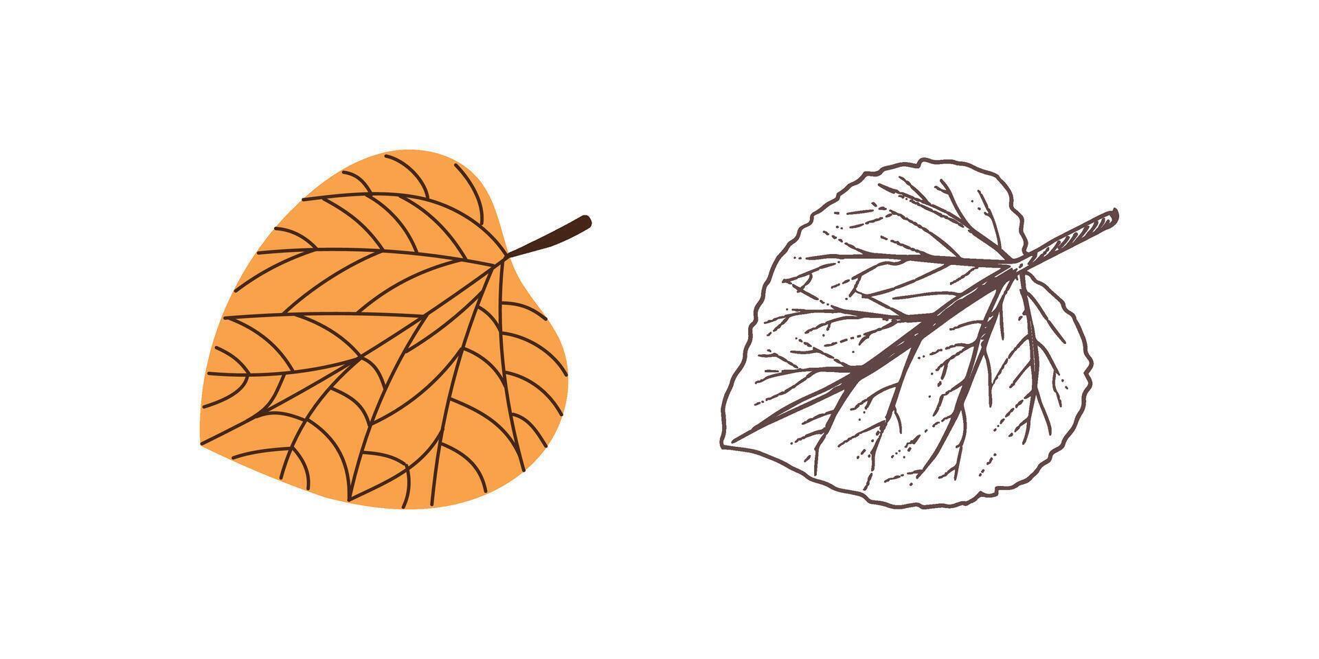 Flat and hand drawn style leaf illustration. vector
