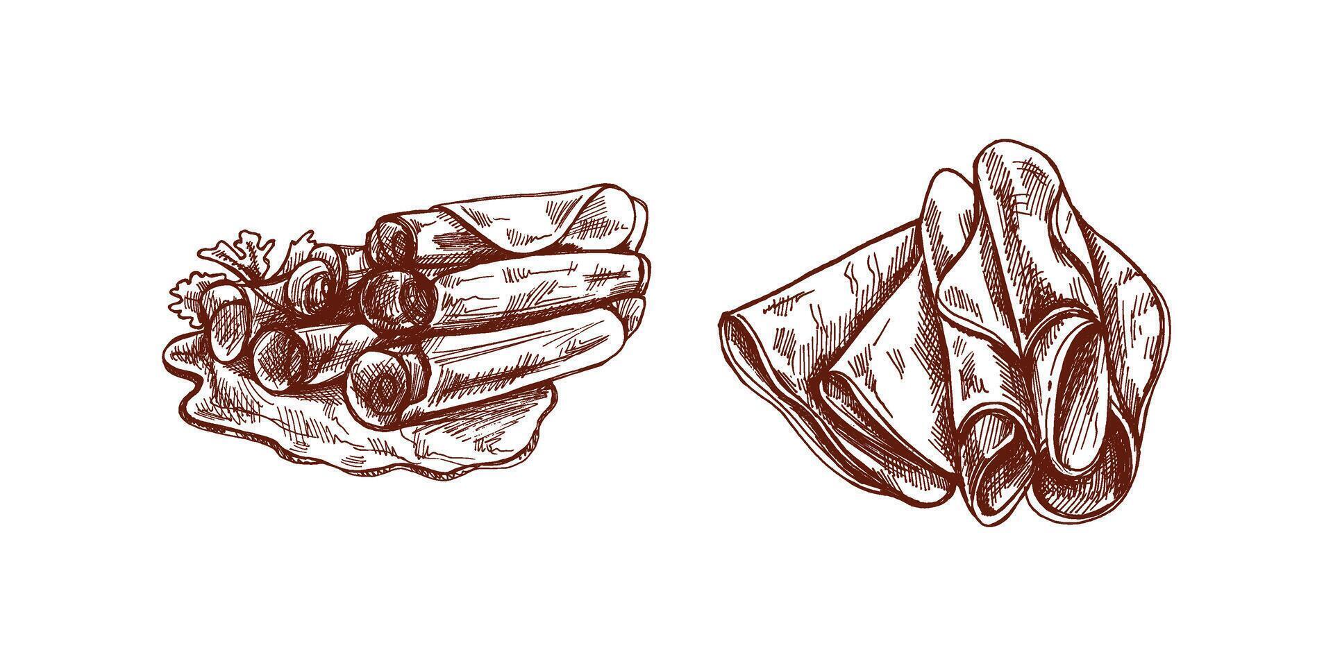 Retro Sketch of Pork Meat and Prosciutto. A Monochrome Design vector