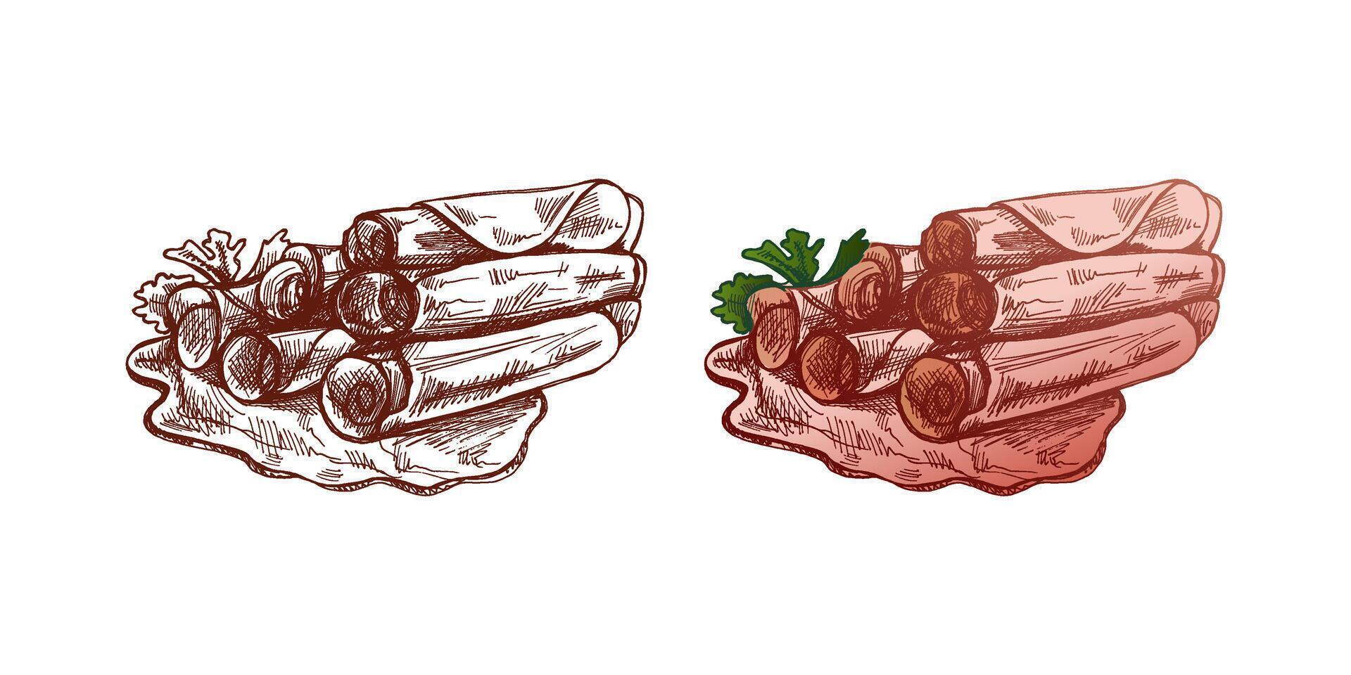 Hand-Drawn Butcher Shop Art. Monochrome and colored Pork and Ham Sketch vector