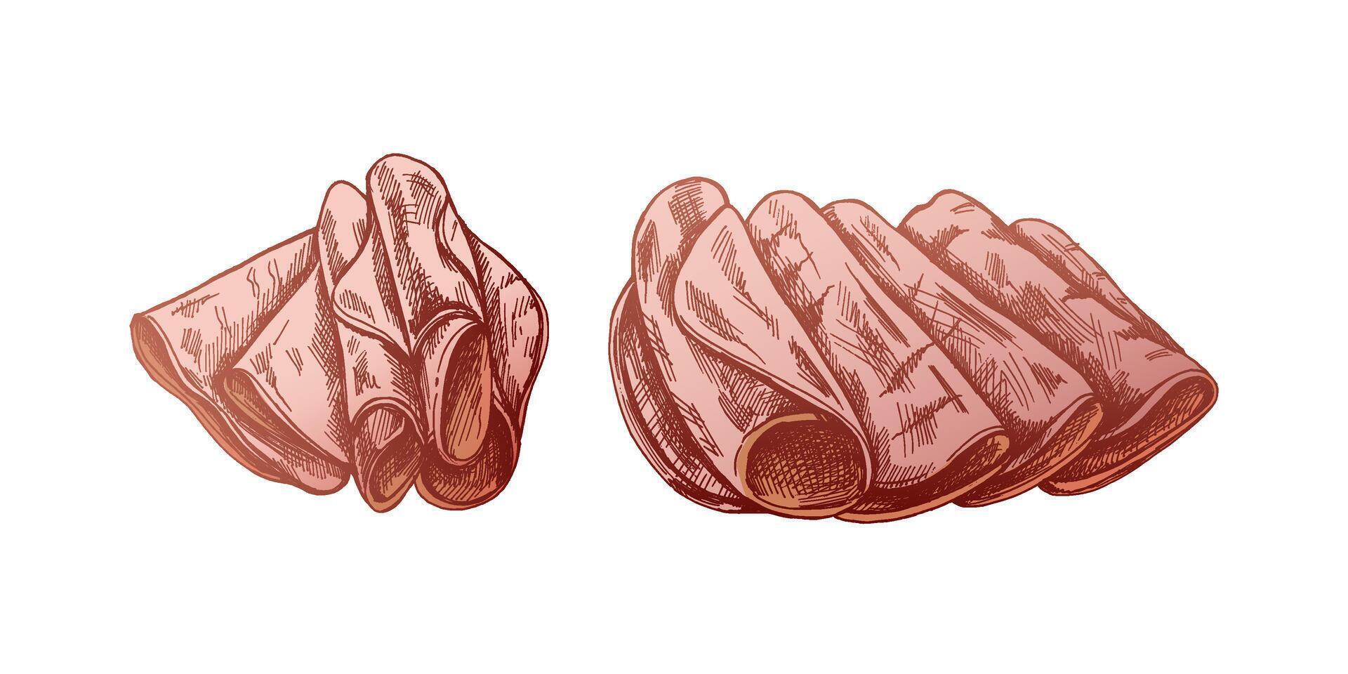 Timeless Butcher Shop Sketch. Hand-Drawn colored Pork and Ham Artwork vector