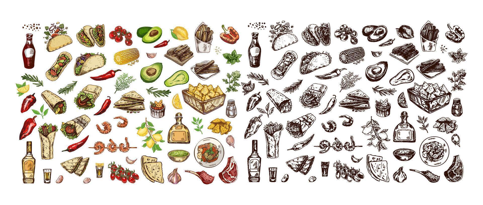 hand-drawn mexican food and products in vintage sketch style vector