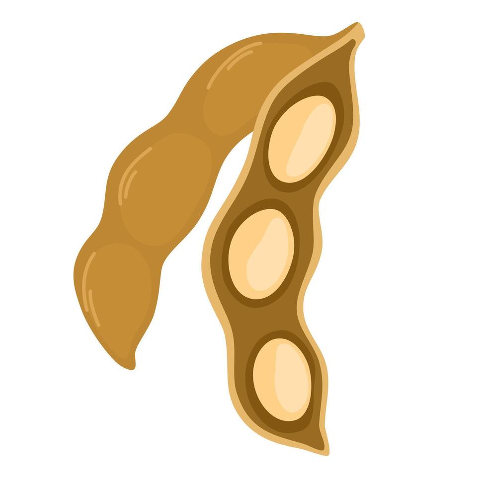 Raw soy, soybeans pods isolated set. Dry bean husk with seeds and leaves, soya natural vegetable plant. healthy food cartoon illustration soybeans, organic veggies, harvest vector