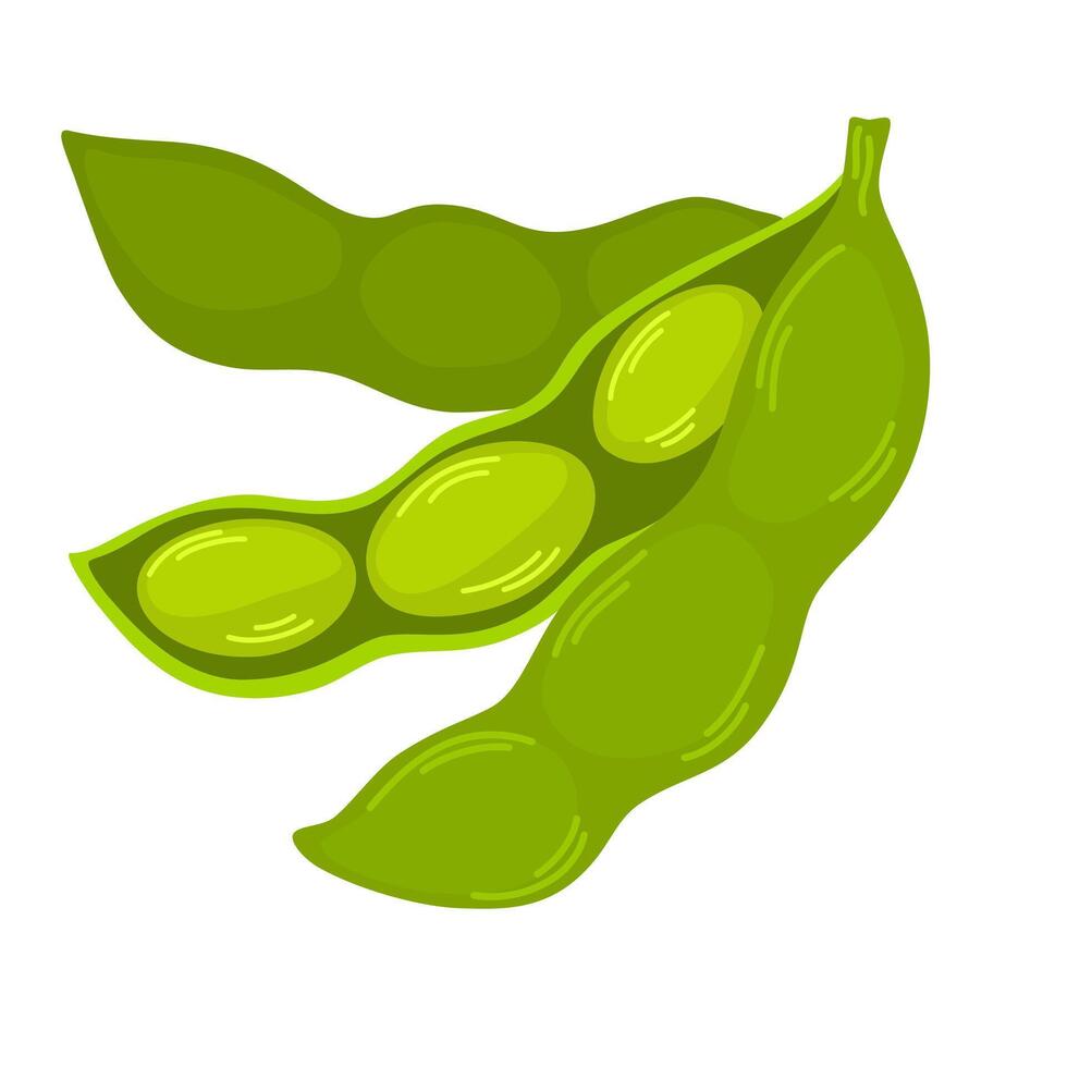Raw soy, soybeans pods isolated set. Green fresh bean husk with seeds and leaves, soya natural vegetable plant. healthy food cartoon illustration soybeans, organic veggies, harvest vector