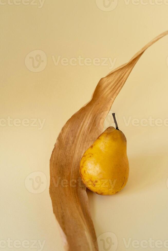a pear and a leaf on a yellow background photo