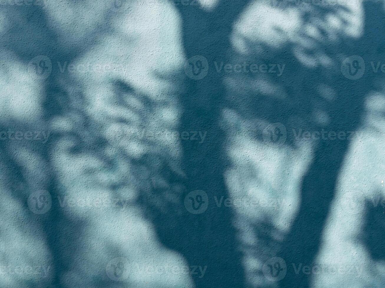 a blue wall with trees in the shadows photo
