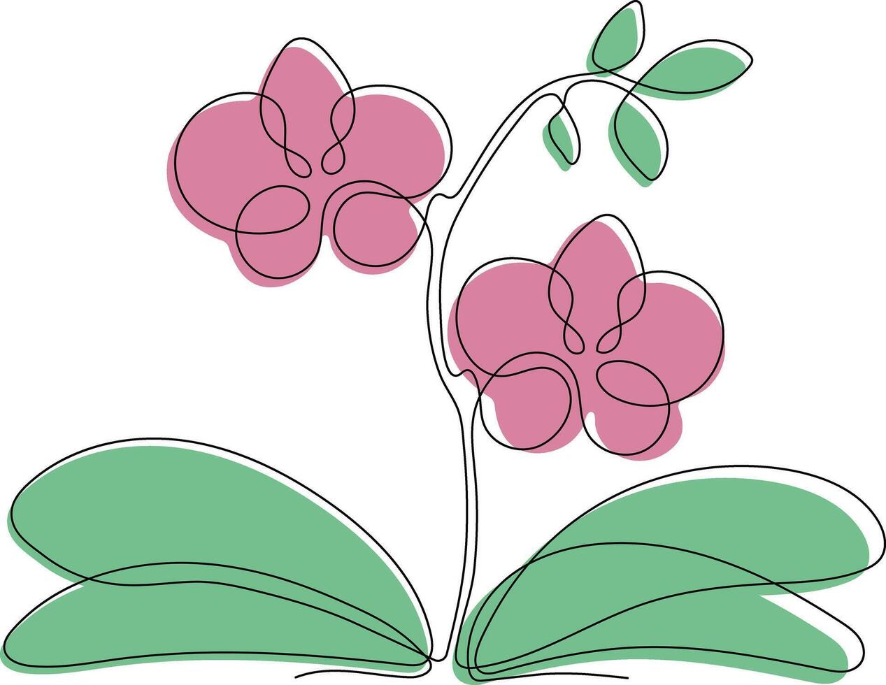 Orchid Phalaenopsis drawn by one line vector