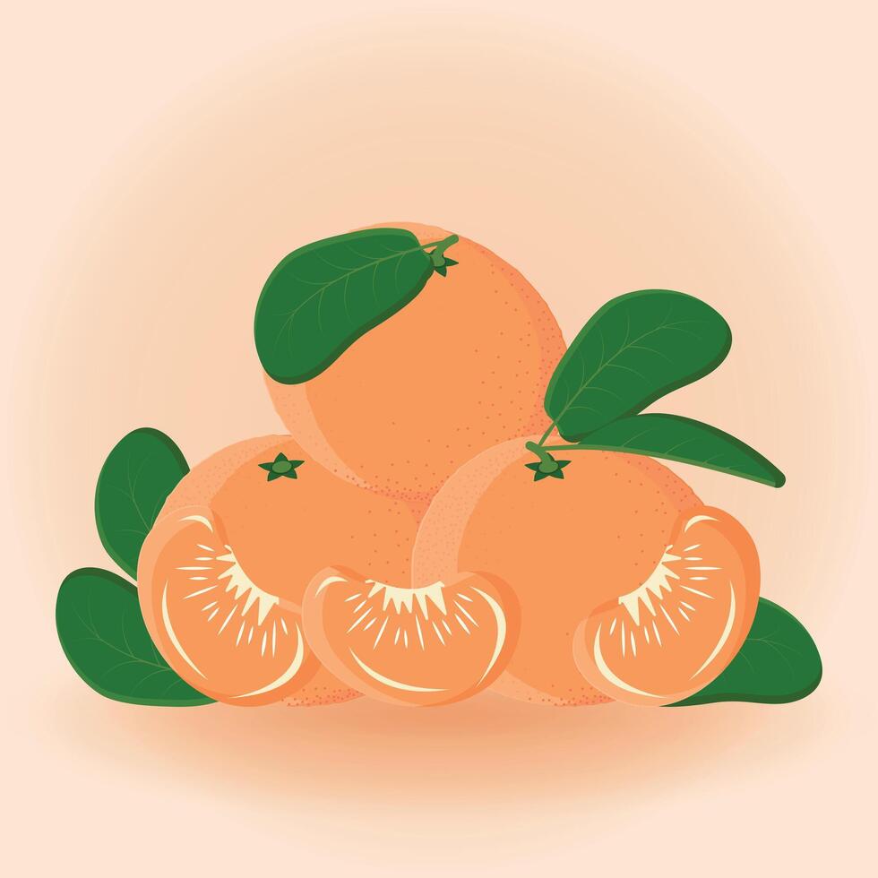 Sweet juicy tangerines for the New Year's table vector