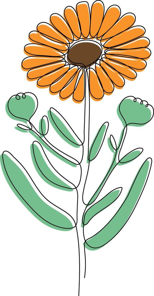 Medicinal plant Calendula drawn in one line vector
