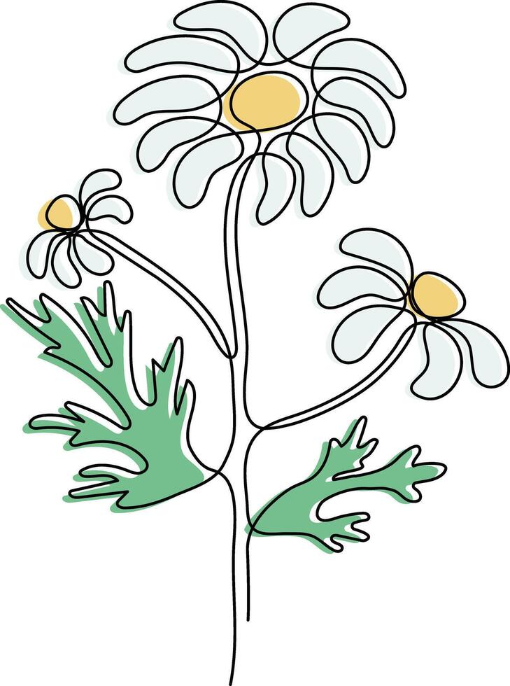 Medicinal plant Chamomile drawn in one line vector