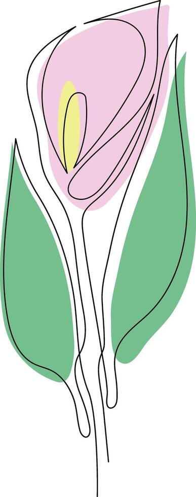 Calla drawn by one line vector