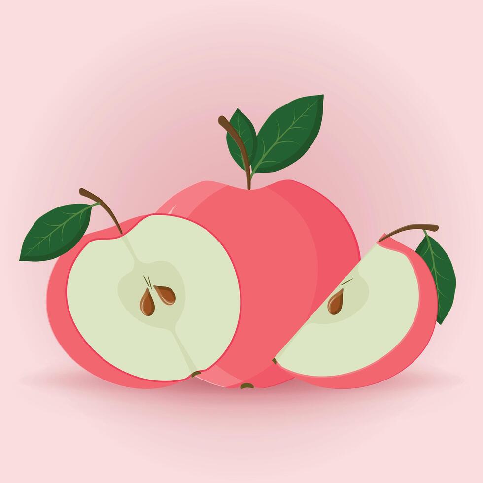 Juicy ripe red apple, whole, half, slice vector