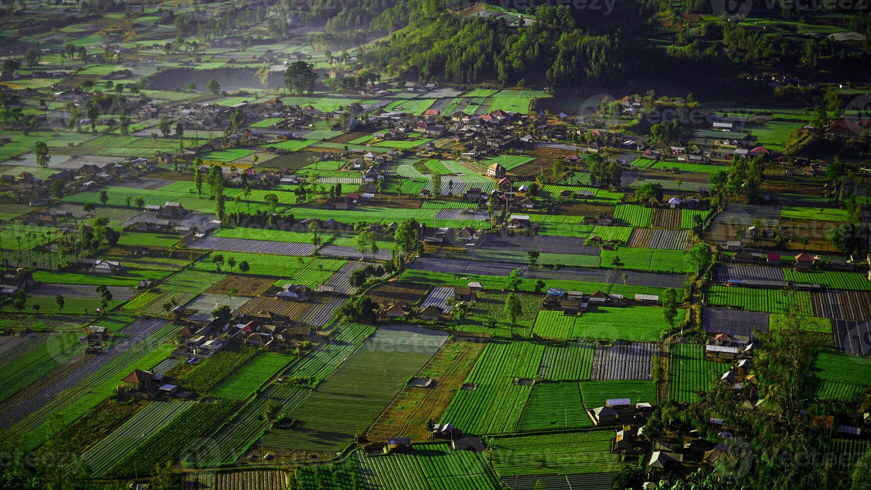 A stunning sunrise over Mount Batur and Mount Agung in Bali reveals mist-covered settlements and lush green plantations. photo