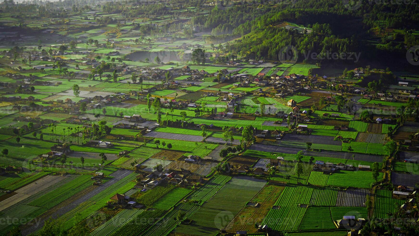 A stunning sunrise over Mount Batur and Mount Agung in Bali reveals mist-covered settlements and lush green plantations. photo