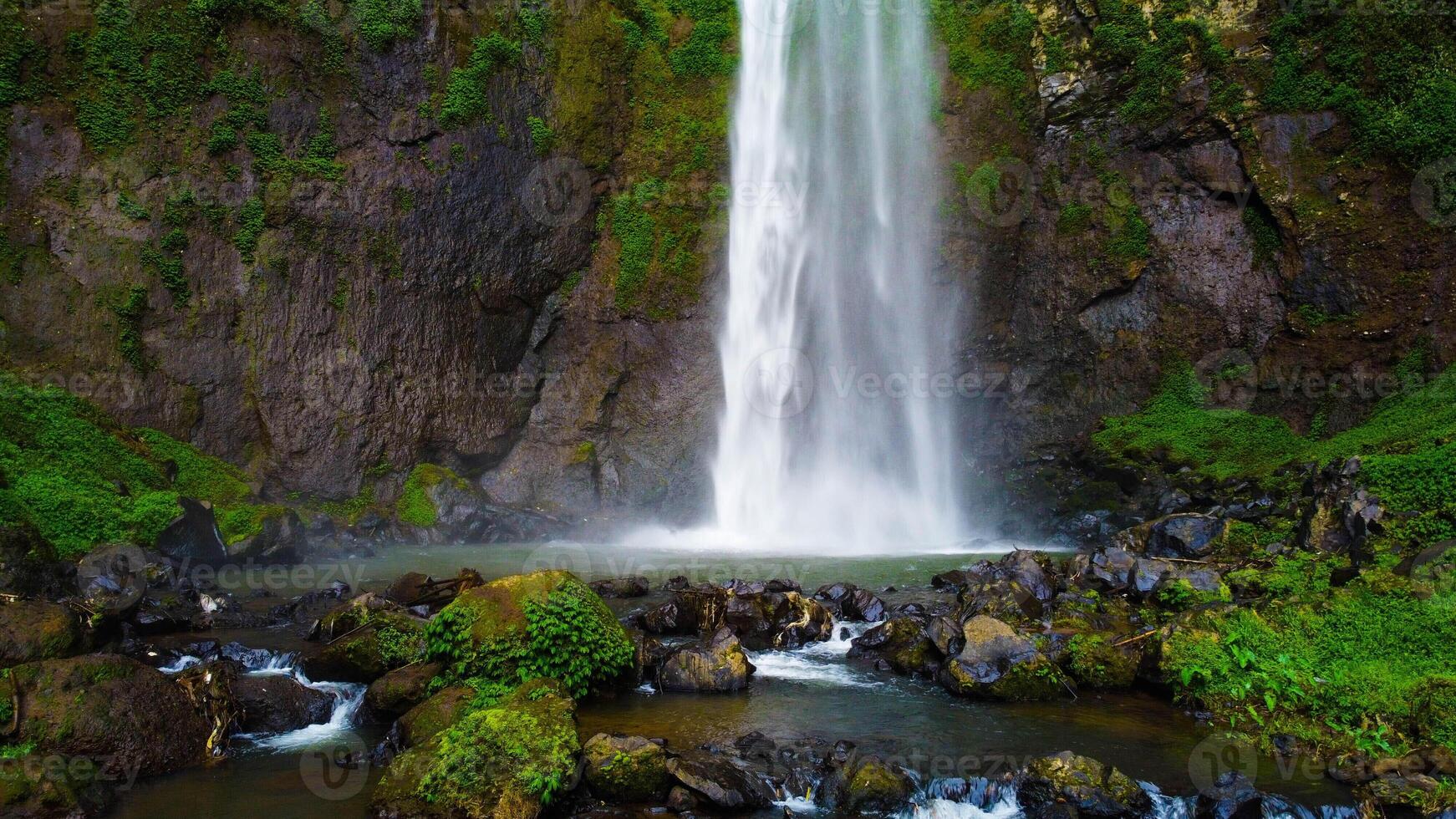 A hidden waterfall in Bali cascades powerfully, surrounded by lush green plants. This serene oasis invites visitors to experience nature's beauty and tranquility. photo