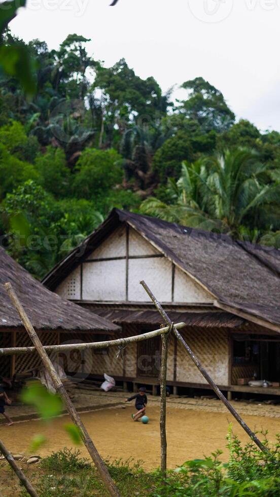 The remote Baduy village is a hidden gem, surrounded by lush greenery and dense trees. This tranquil setting offers a glimpse into a unique culture, photo