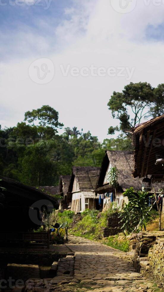 The remote Baduy village is a hidden gem, surrounded by lush greenery and dense trees. This tranquil setting offers a glimpse into a unique culture, photo