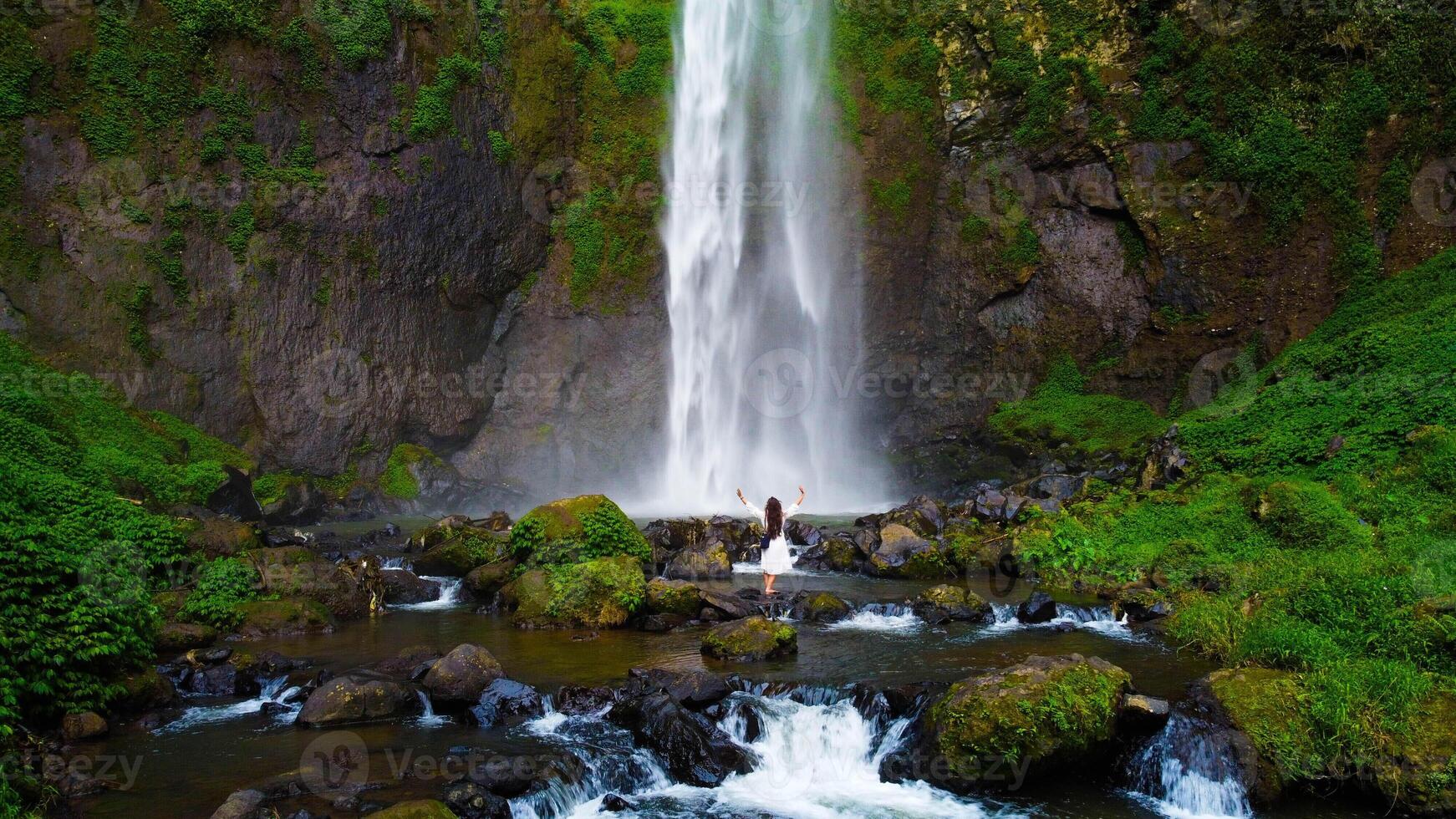 A hidden waterfall in Bali cascades powerfully, surrounded by lush green plants. This serene oasis invites visitors to experience nature's beauty and tranquility. photo