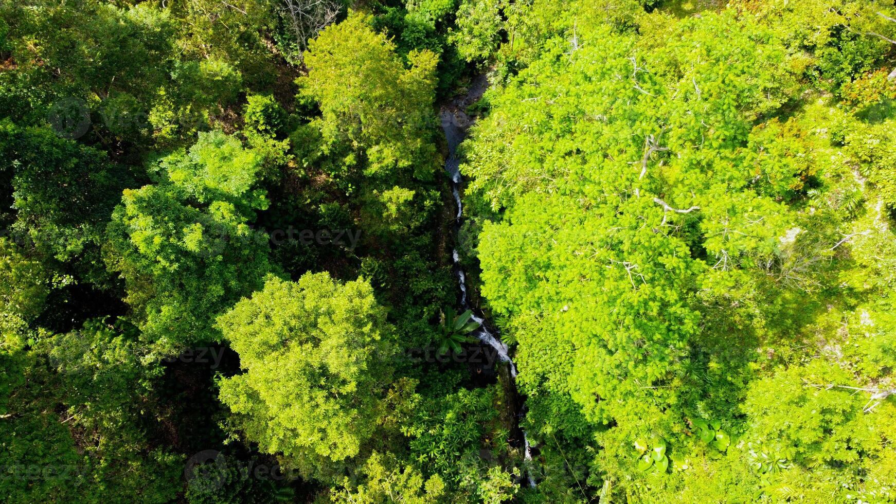 Aerial view a hidden waterfall in Bali cascades powerfully, surrounded by lush green plants. This serene oasis invites visitors to experience nature's beauty and tranquility. photo