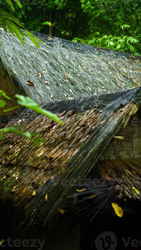 The remote Baduy village is a hidden gem, surrounded by lush greenery and dense trees. This tranquil setting offers a glimpse into a unique culture, photo
