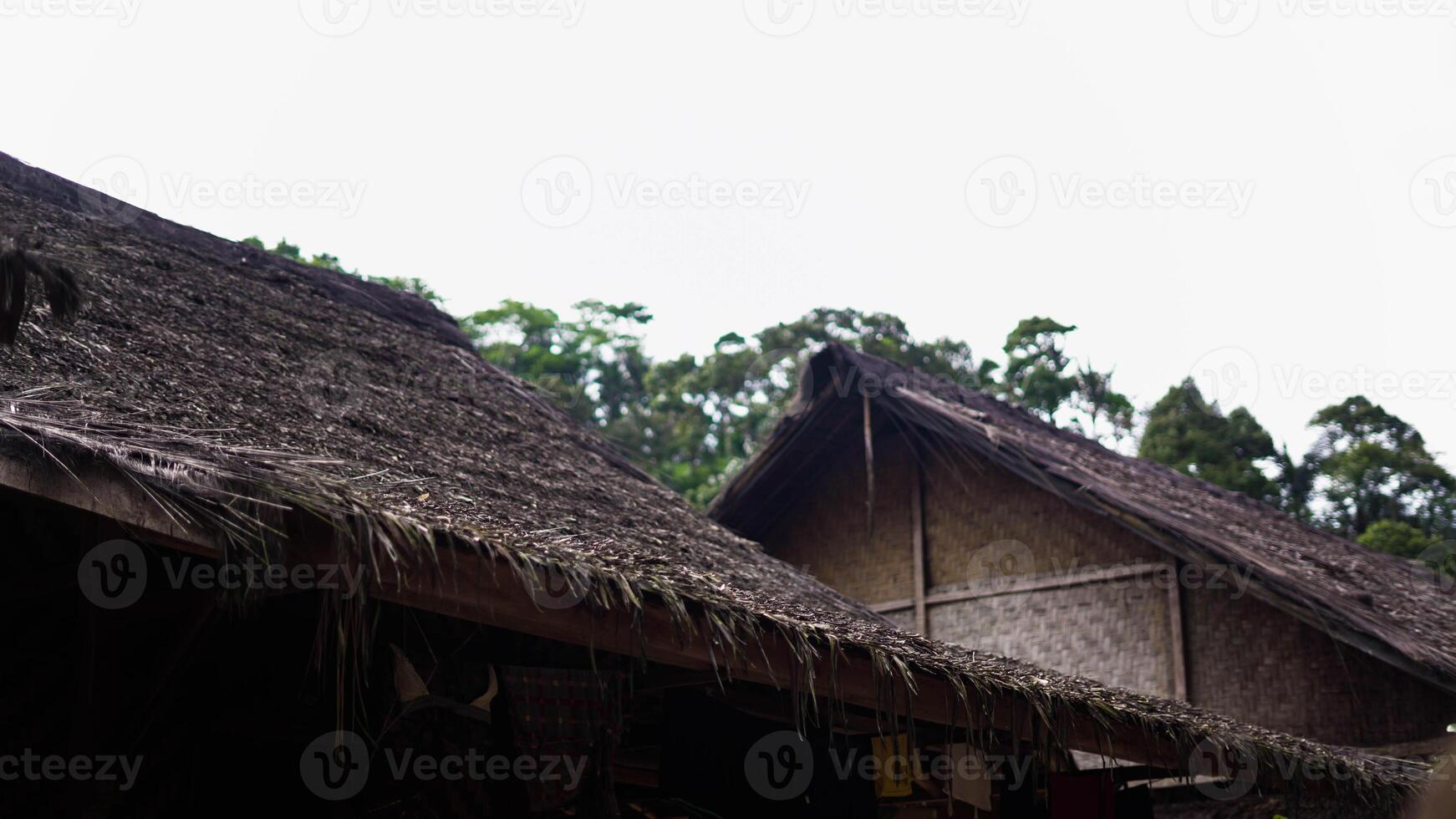 The remote Baduy village is a hidden gem, surrounded by lush greenery and dense trees. This tranquil setting offers a glimpse into a unique culture, photo