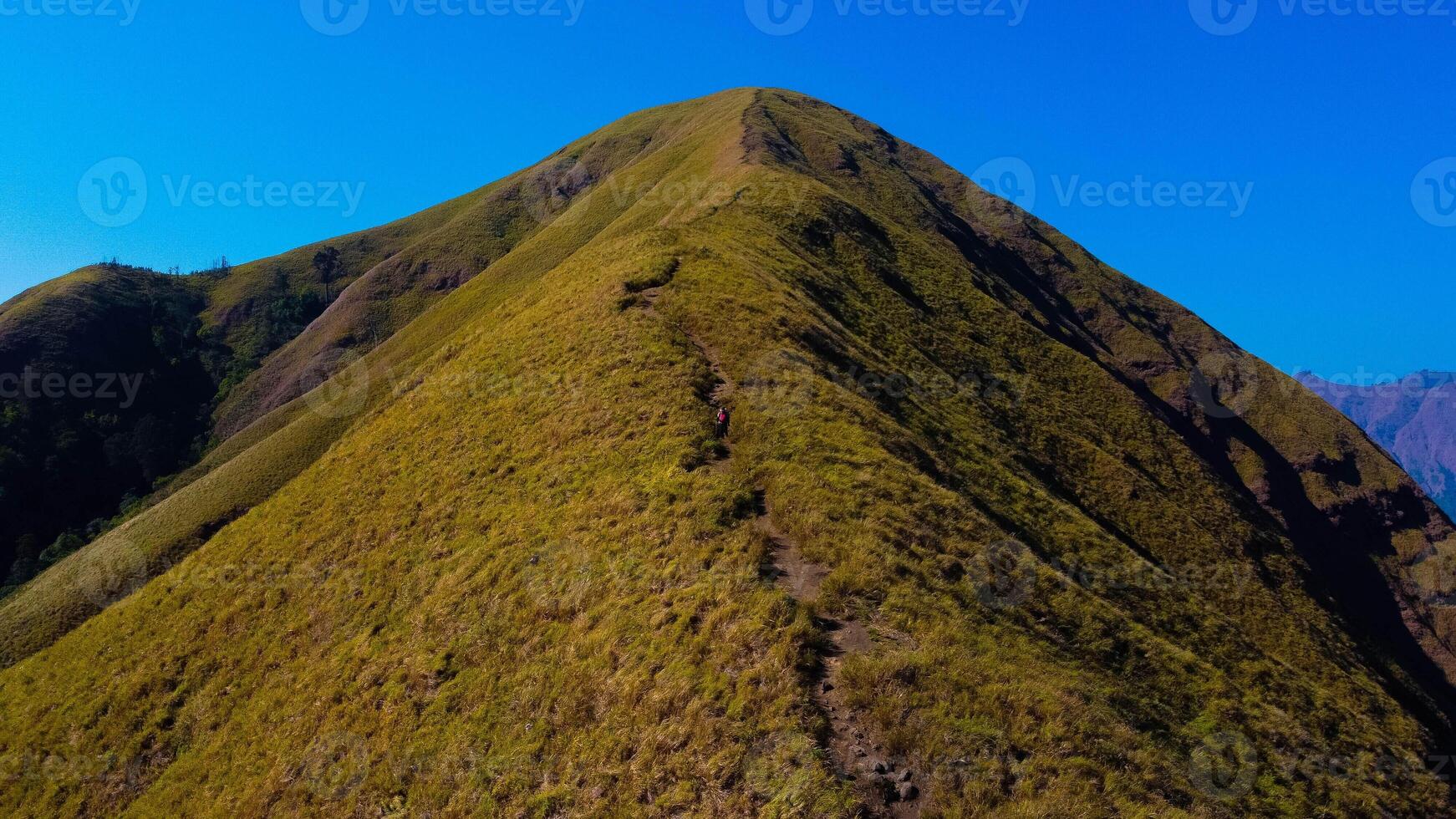 Experience breathtaking aerial views of the rolling hills in Sembalun, at the foot of Mount Rinjani, with expansive savanna turning golden at sunrise. photo
