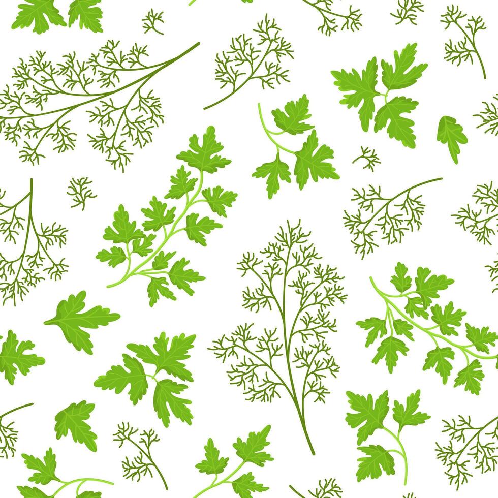 seamless pattern of parsley and dill. Fresh greenery image. Botanical illustration. vector