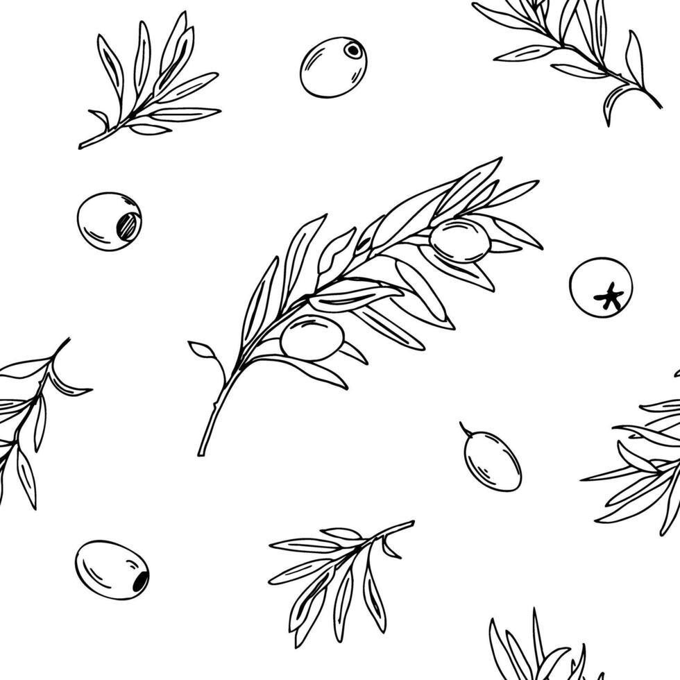 Olive Branches and Fruits Graphic seamless pattern on a white background. Hand drawn Black and white illustration. Ink Line art. Can be used for textile, wallpaper prints and packaging. vector