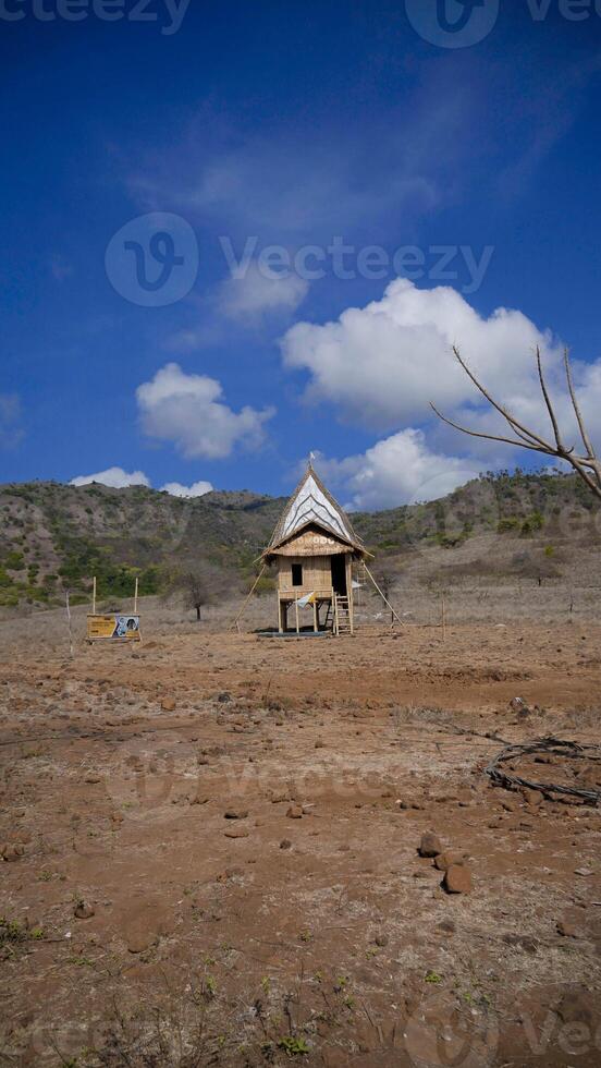 In Kampung Komodo, Indonesia, vibrant blue waters stretch out beneath a clear sky. The serene village backdrop contrasts with the stunning, rich blue of the sea photo
