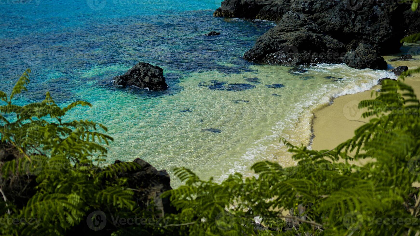 Ina Burak Beach in Adonara features stunning clear blue waters and soft white sand, framed by unique black volcanic rock formations. photo